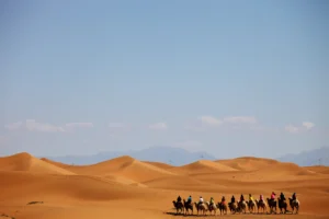 شروط تجنيس البدون في السعودية