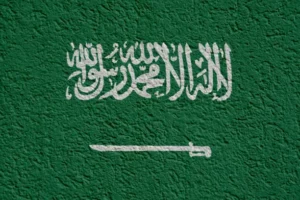 تجنيس اولاد المواطنة