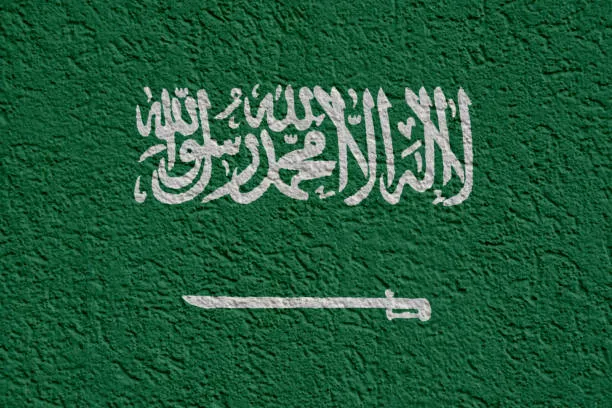 تجنيس اولاد المواطنة