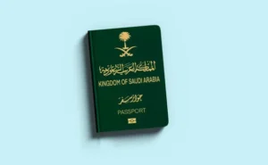 تقديم طلب تجنيس