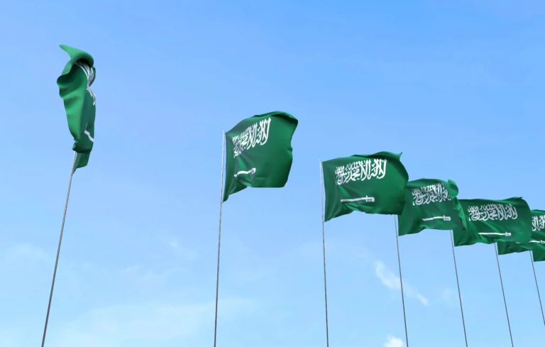 نقاط التجنيس