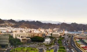 معقب استخراج تصريح زواج الطائف